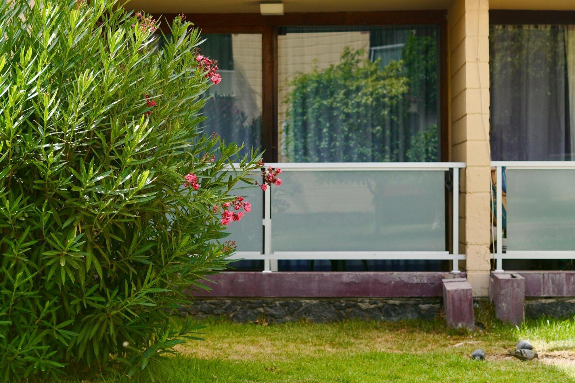 Apartamento El Gato Costa del Silencio Exterior foto